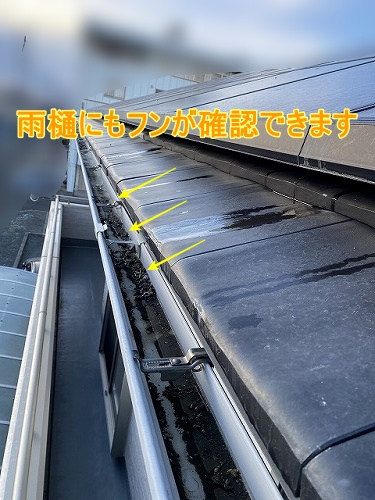 太陽光パネル　鳥被害　巣　ソーラー